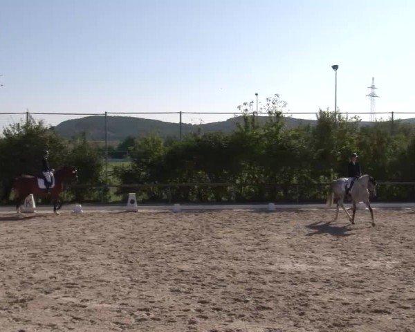 Reitturnier Großbardorf/Ufr. 2024