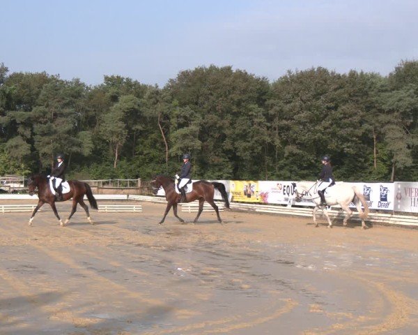 Reitturnier Ostbevern 2024