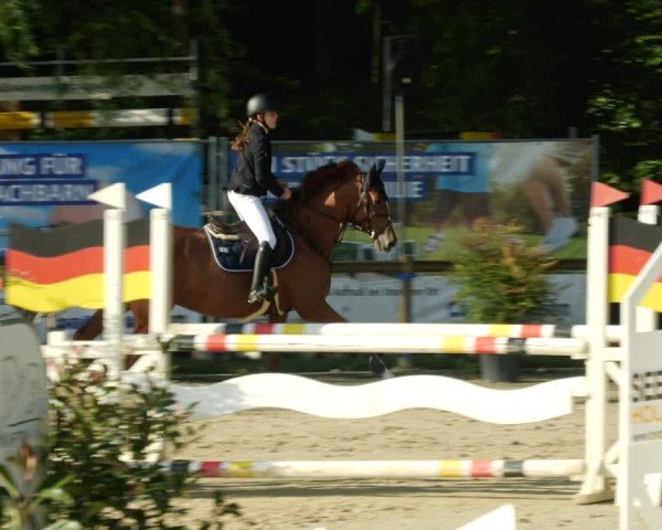 Reitturnier Walldorf/Winterheck 2024