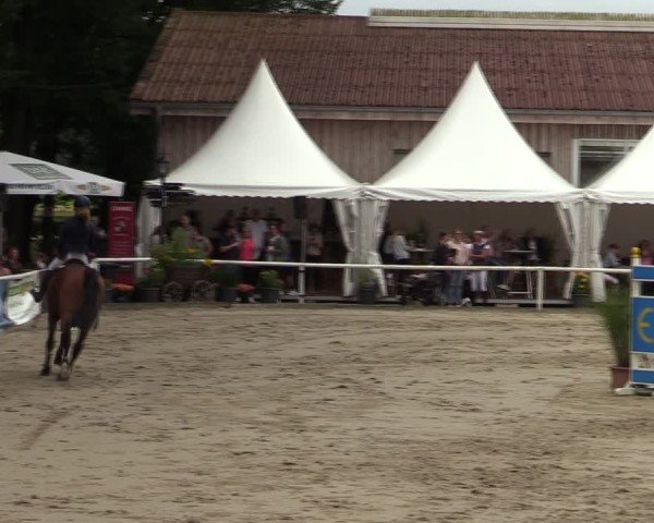 Reitturnier Werne 2024