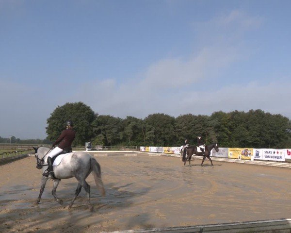 Reitturnier Ostbevern 2024