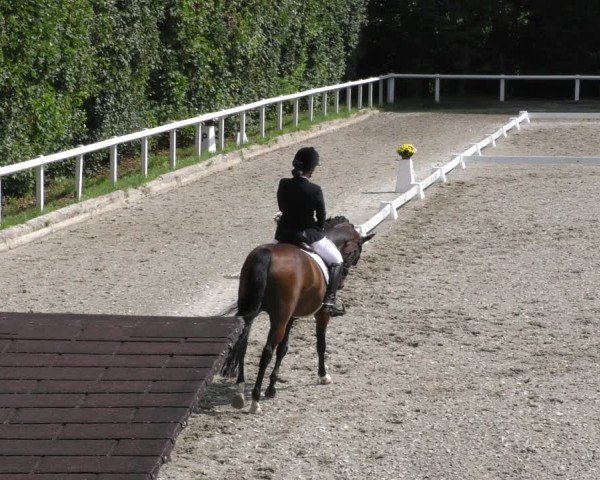 Reitturnier Zillhofen/Obb. 2024