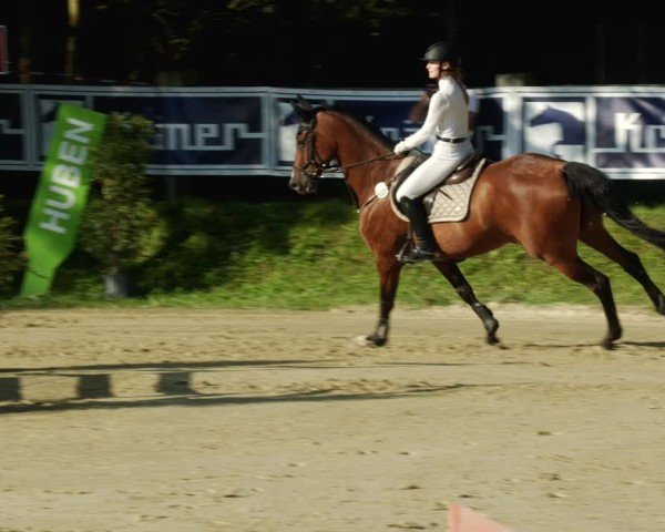 Reitturnier Walldorf/Winterheck 2024