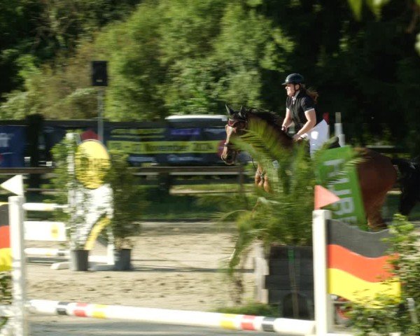 Reitturnier Walldorf/Winterheck 2024