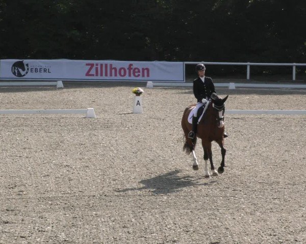 Reitturnier Zillhofen/Obb. 2024