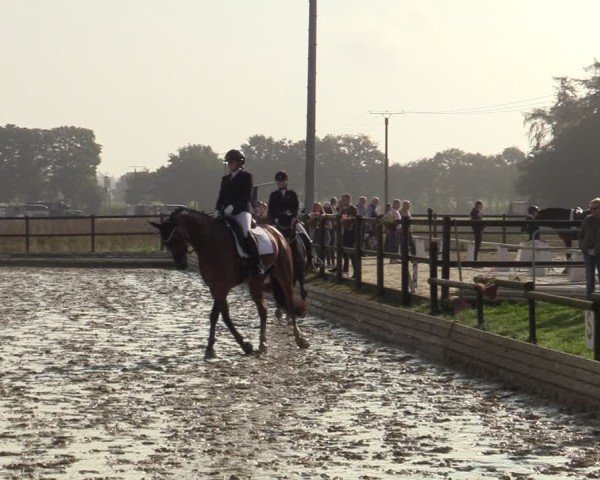 Reitturnier Ostbevern 2024