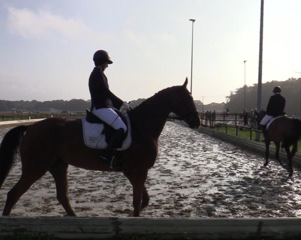 Reitturnier Ostbevern 2024