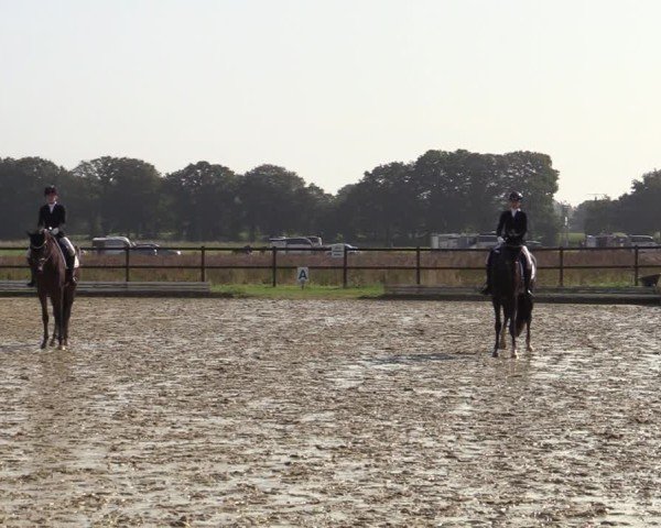 Reitturnier Ostbevern 2024