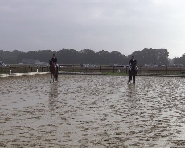 Reitturnier Ostbevern 2024