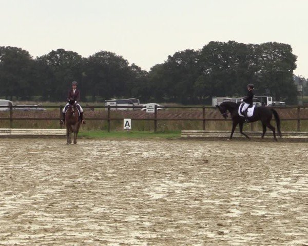 Reitturnier Ostbevern 2024