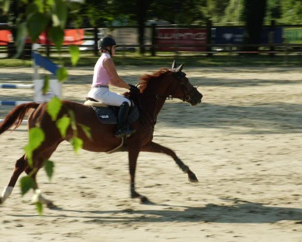 Reitturnier Walldorf/Winterheck 2024