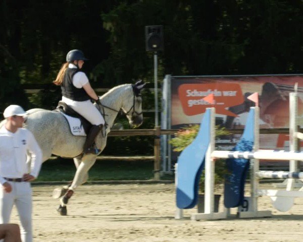 Reitturnier Walldorf/Winterheck 2024
