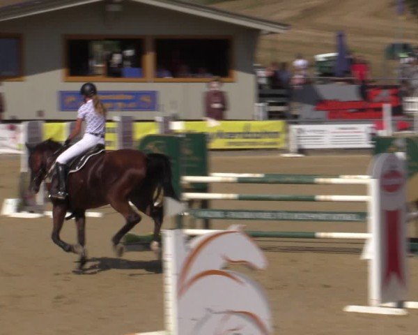 Reitturnier Duderstadt 2024
