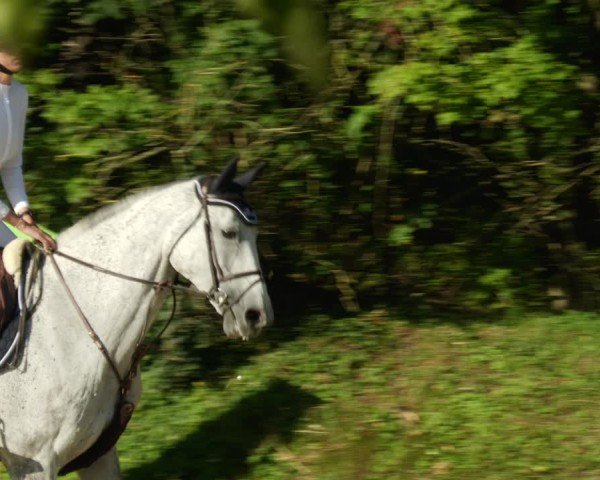 Reitturnier Walldorf/Winterheck 2024