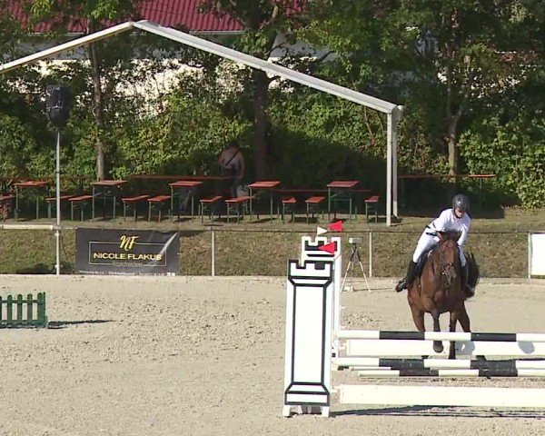 Reitturnier Großbardorf/Ufr. 2024