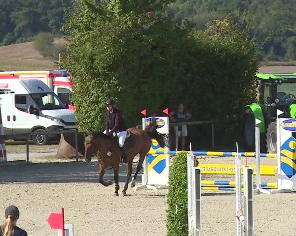 Reitturnier Großbardorf/Ufr. 2024