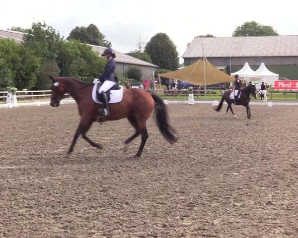 Reitturnier Kleinsolter Turniertage 2024