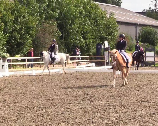 Reitturnier Kleinsolter Turniertage 2024