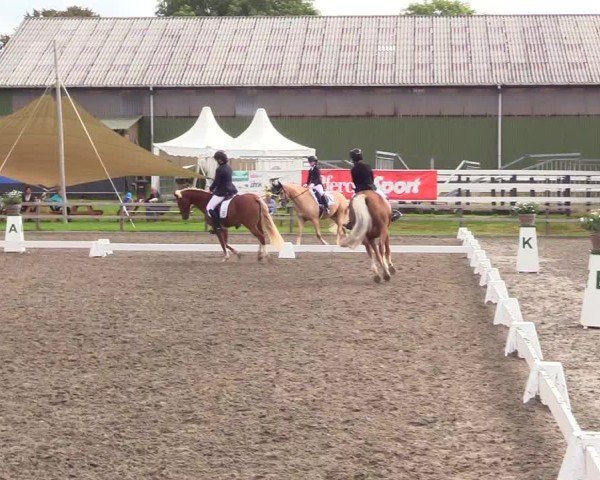 Reitturnier Kleinsolter Turniertage 2024