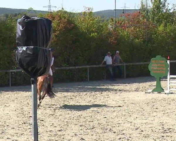 Reitturnier Großbardorf/Ufr. 2024