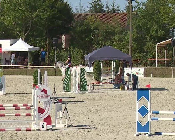 Reitturnier Großbardorf/Ufr. 2024