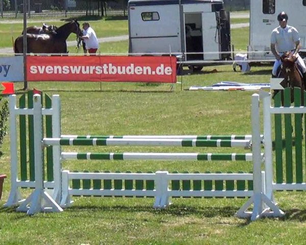 Nord-Ost-Pferd 2013