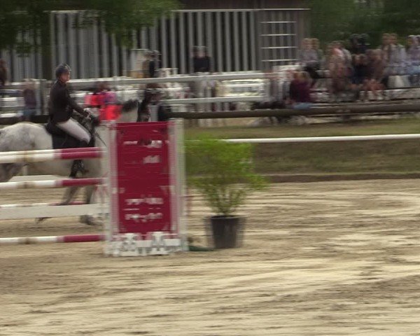 Reitturnier Werne 2024