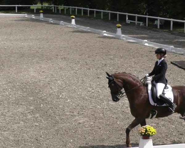 Reitturnier Zillhofen/Obb. 2024