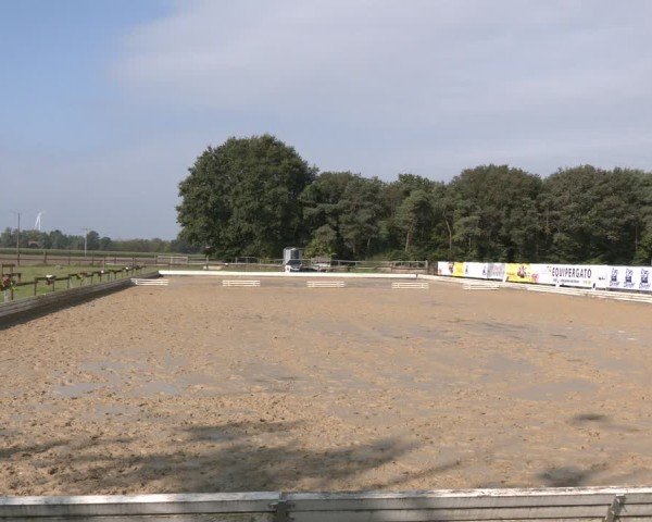 Reitturnier Ostbevern 2024