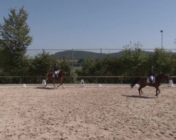 Reitturnier Großbardorf/Ufr. 2024
