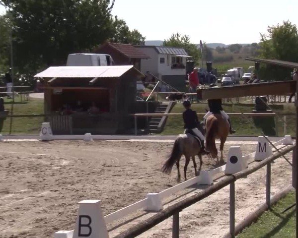 Reitturnier Großbardorf/Ufr. 2024
