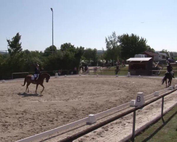 Reitturnier Großbardorf/Ufr. 2024