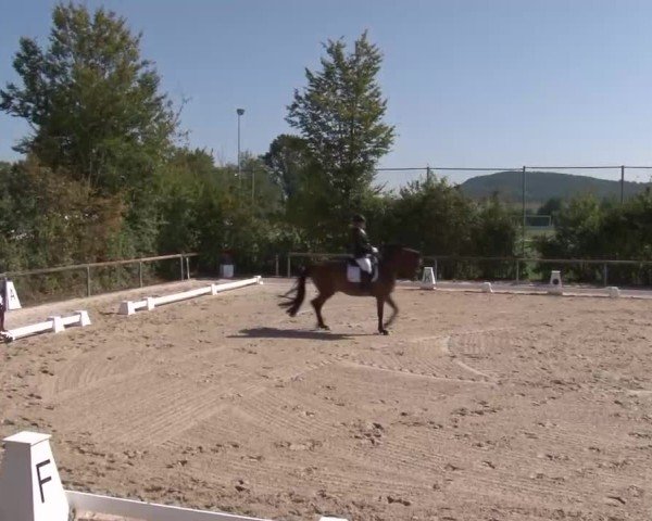 Reitturnier Großbardorf/Ufr. 2024