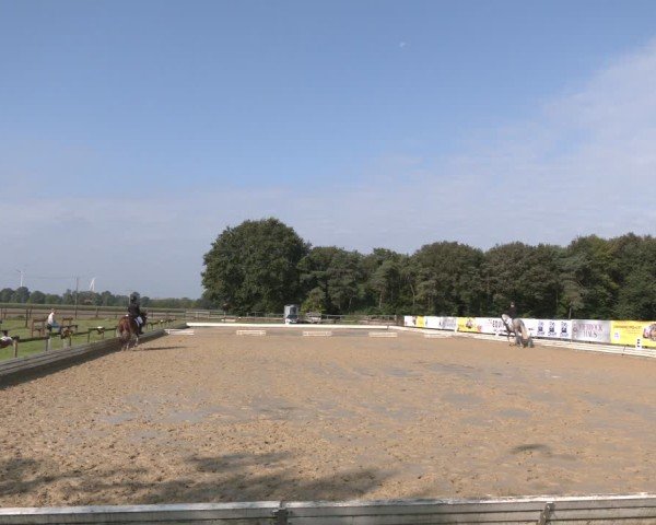 Reitturnier Ostbevern 2024