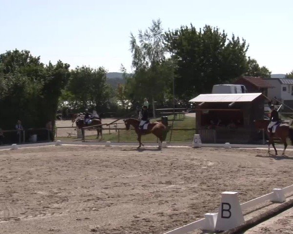 Reitturnier Großbardorf/Ufr. 2024