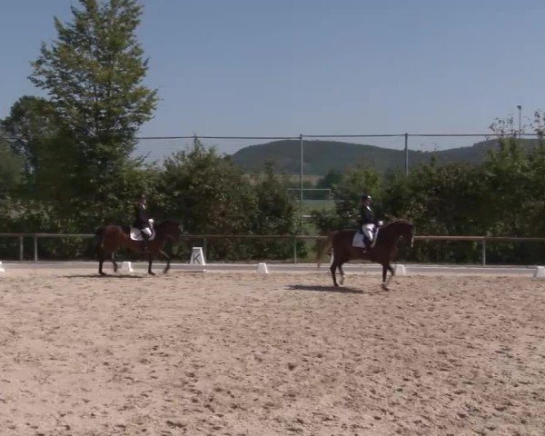 Reitturnier Großbardorf/Ufr. 2024