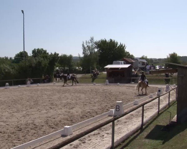 Reitturnier Großbardorf/Ufr. 2024