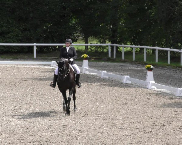 Reitturnier Zillhofen/Obb. 2024