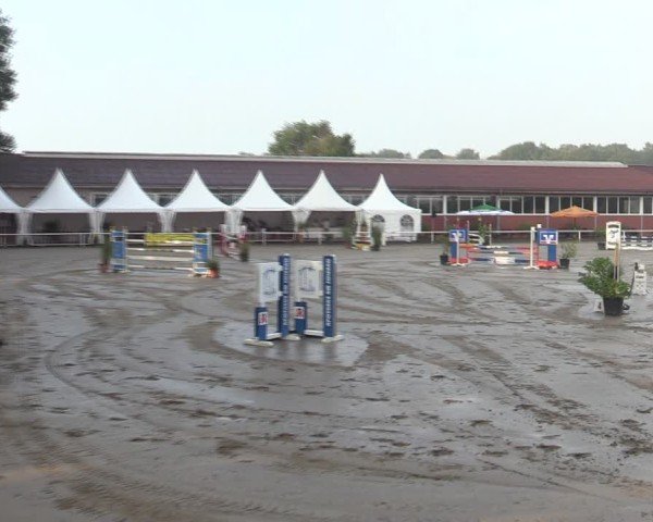 Reitturnier Werne 2024