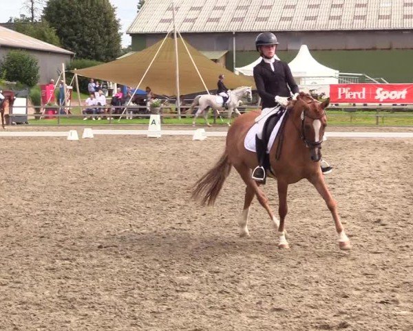Reitturnier Kleinsolter Turniertage 2024