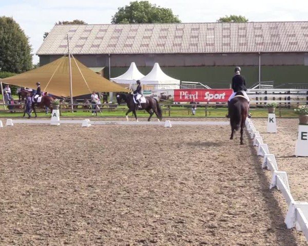 Reitturnier Kleinsolter Turniertage 2024