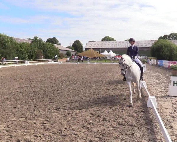 Reitturnier Kleinsolter Turniertage 2024