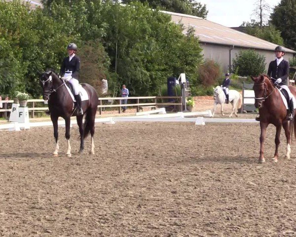 Reitturnier Kleinsolter Turniertage 2024