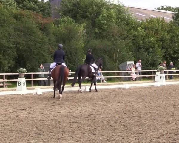 Reitturnier Kleinsolter Turniertage 2024