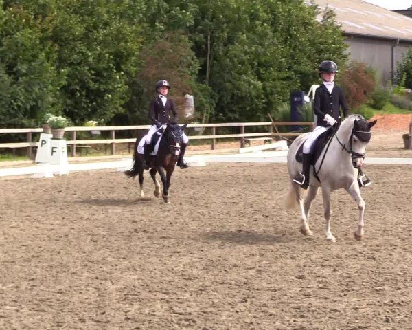 Reitturnier Kleinsolter Turniertage 2024