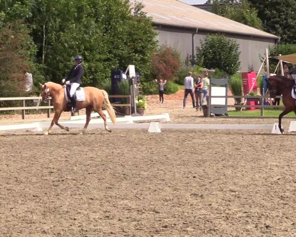 Reitturnier Kleinsolter Turniertage 2024