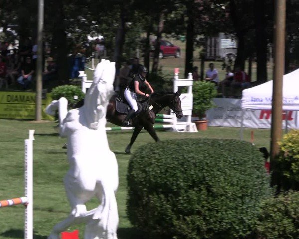 Reitturnier Cottbus-Sielow 2024