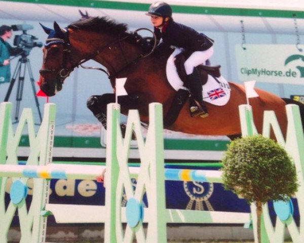 broodmare Cherona Z (Zangersheide riding horse, 2000, from Chellano Z)