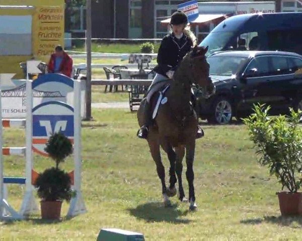 Nord-Ost-Pferd 2013