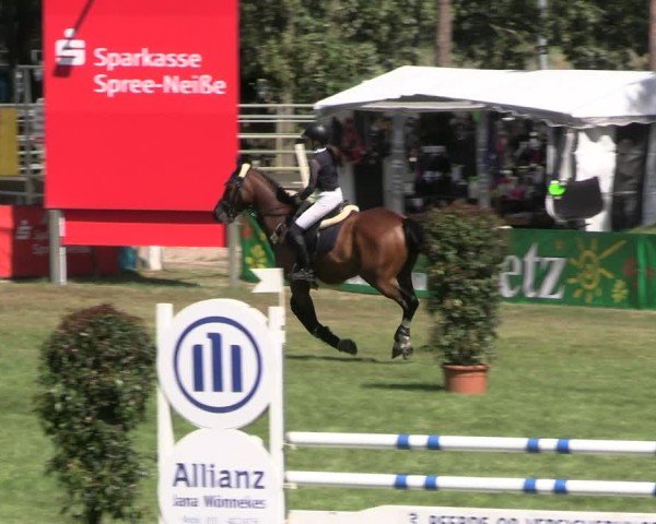 Reitturnier Cottbus-Sielow 2024